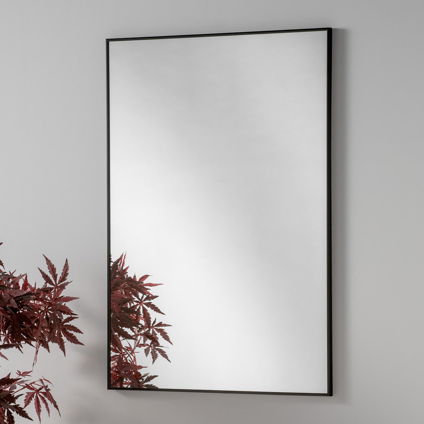 Black framed rectangular mirror against a light grey wall, with a portion of a leafed plant visible in the reflection.